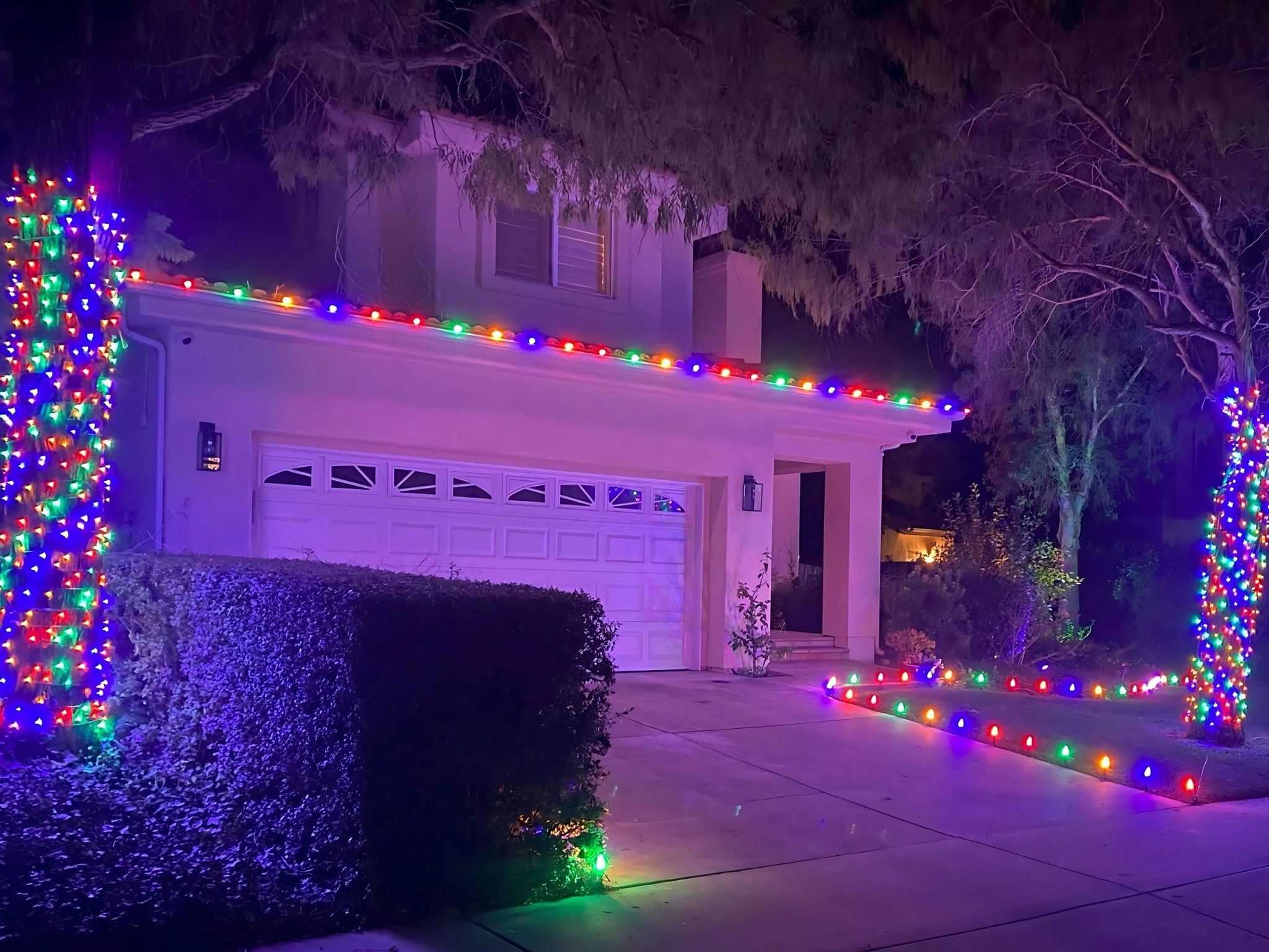 Professional Christmas Lights Installation Services